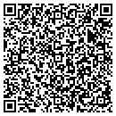 QR code with Ppg Industries Inc contacts