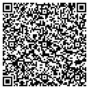 QR code with Carl Pool Products contacts