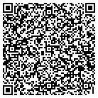 QR code with Blaze Products Corp contacts
