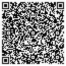QR code with Psi Urethanes Inc contacts