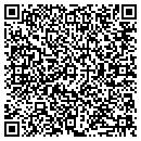 QR code with Pure Polymers contacts