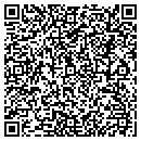QR code with Pwp Industries contacts