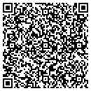 QR code with Premier Conduit contacts