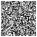 QR code with Project Safe contacts