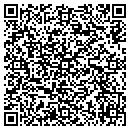 QR code with Ppi Technologies contacts