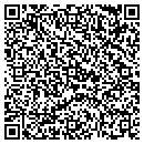QR code with Precious Metal contacts