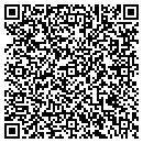 QR code with Pureflex Inc contacts