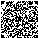 QR code with Precision Motorsports contacts
