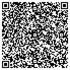 QR code with Summit Roof Cleaning contacts