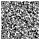 QR code with Pulse Eft Assn contacts
