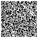 QR code with Pro-Tek Integrations contacts