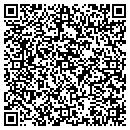 QR code with Cyperceptions contacts