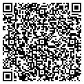QR code with Netxg contacts