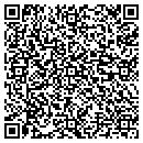 QR code with Precision Micro Inc contacts