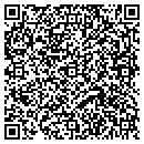 QR code with Prg Lighting contacts