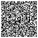 QR code with Precise Data contacts