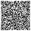 QR code with Cobalt Computers Inc contacts