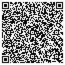 QR code with Public Storage contacts