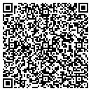 QR code with Conceptual Software contacts