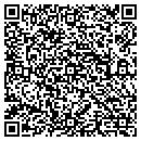 QR code with Profiling Solutions contacts