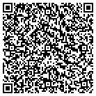 QR code with Bison Analytics LLC contacts