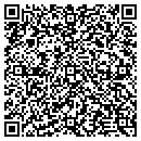 QR code with Blue Lava Technologies contacts