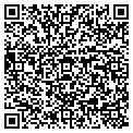 QR code with Oracle contacts