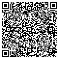 QR code with Liveo contacts