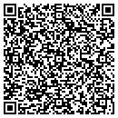 QR code with Premier Drivetek contacts