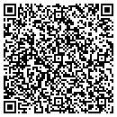 QR code with Premier Tile & Stone contacts