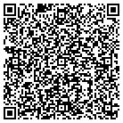 QR code with Brink Sand & Gravel Inc contacts
