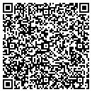 QR code with Punch Line Tile contacts