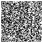 QR code with Pulver & Sons Materials contacts