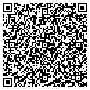 QR code with Premier Builders Inc contacts