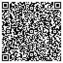 QR code with Chips Enterprises Inc contacts