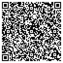 QR code with Curt E Carlson contacts