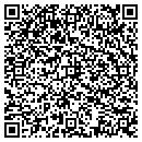 QR code with Cyber Nostics contacts