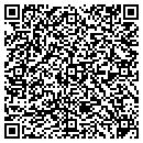 QR code with Professional Handling contacts