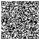 QR code with Cronin Acoustical Co contacts
