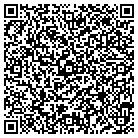 QR code with Cirrus Aviation Services contacts
