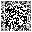 QR code with Pristine Pools Inc contacts