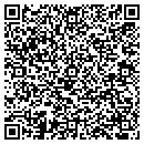 QR code with Pro Link contacts