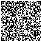 QR code with Pulse Staging & Events Inc contacts