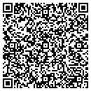 QR code with Pvs Electronics contacts