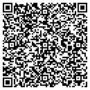 QR code with Carpet Cleaning Pros contacts