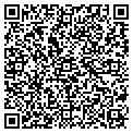 QR code with Codllc contacts
