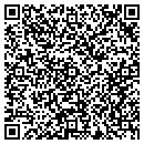 QR code with Pvgglobal LLC contacts