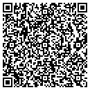 QR code with Premier Lights & Sound contacts