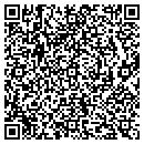 QR code with Premier Lights & Sound contacts