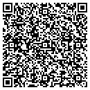 QR code with Carters Audio/Video contacts